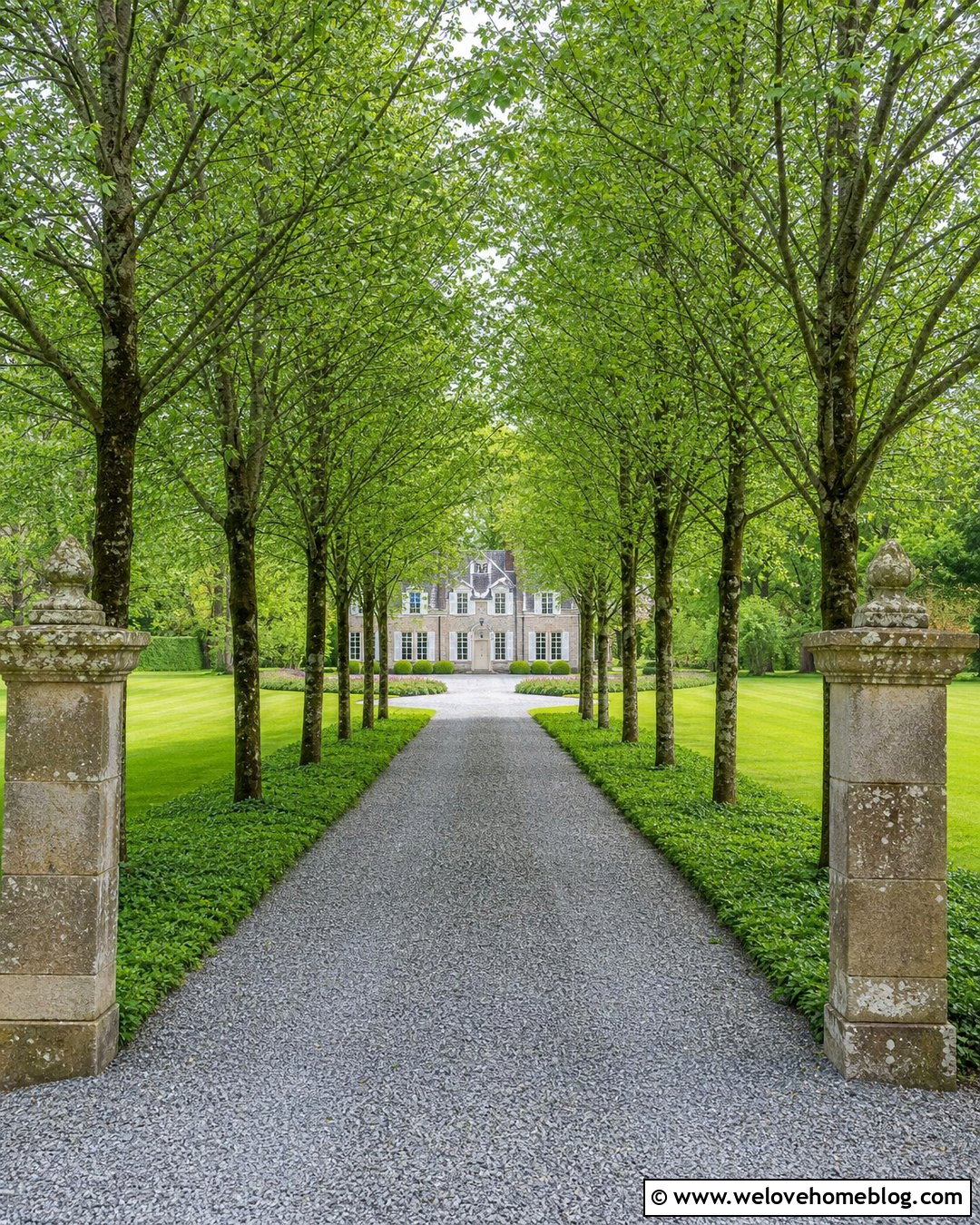 Long Driveway With Matching Tree Rows - 45 long driveway ideas