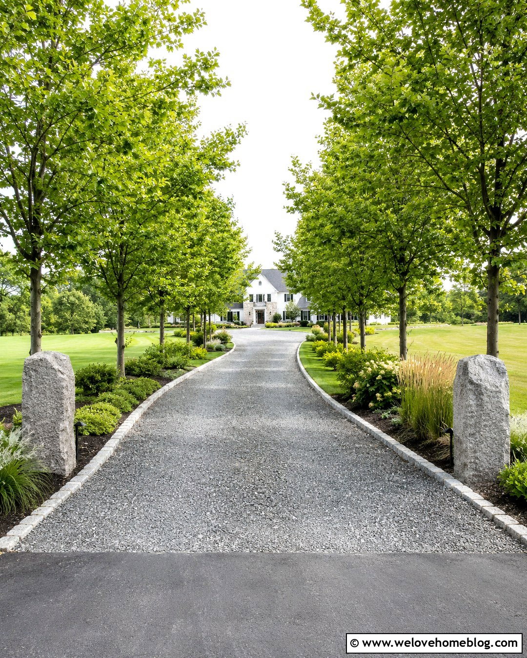 Long Driveway With Tree Lined Borders - 20 landscape by driveway ideas
