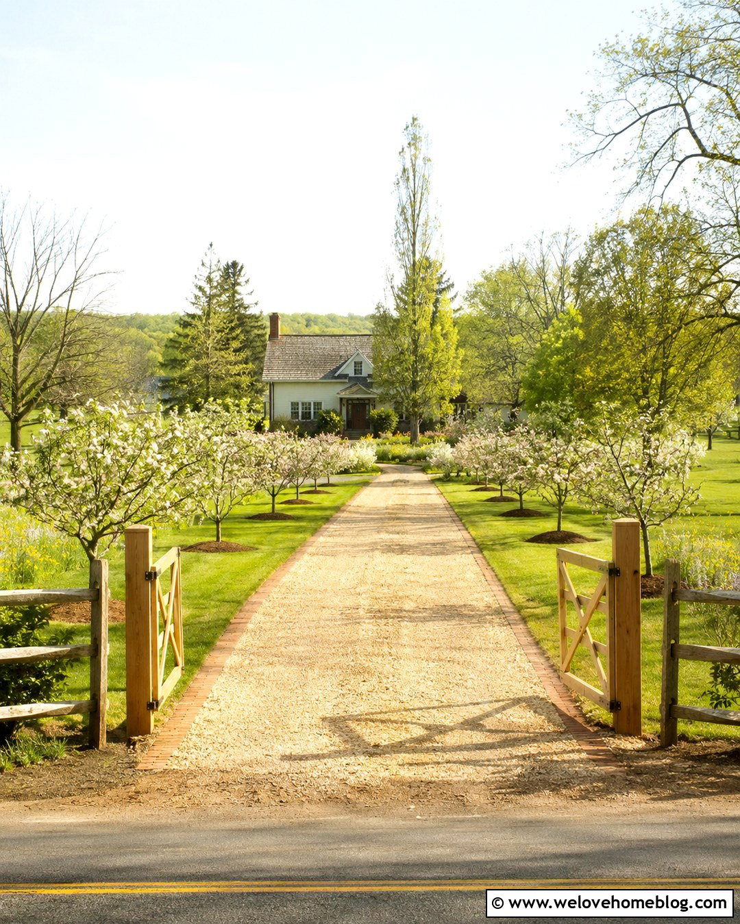 Long Gravel Driveway Through An Orchard - 20 long gravel driveway landscaping ideas