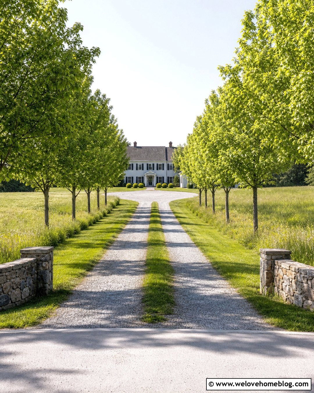 Long Two Track Gravel Driveway With Tree Rows