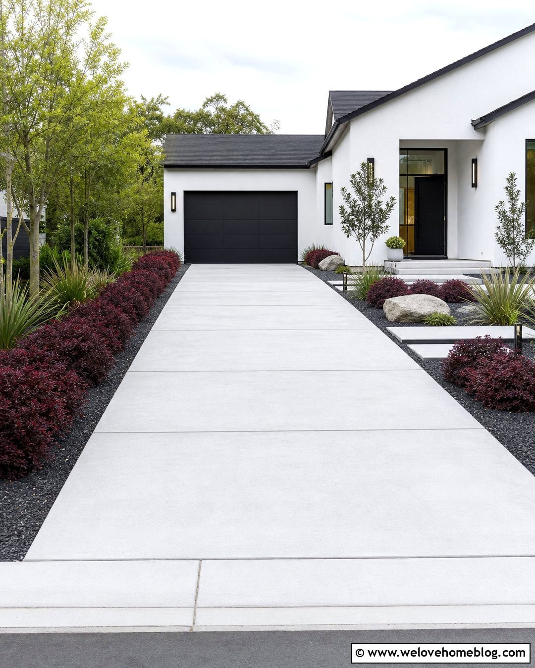 Loropetalum Shrubs Along A Modern Driveway - 25 Driveway Shrubs Ideas