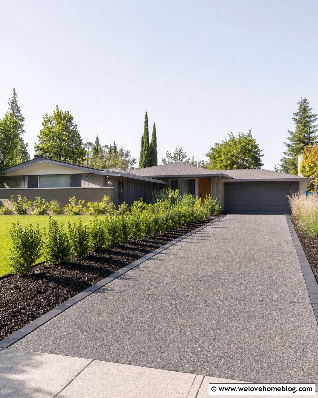 Low Maintenance Hedge Driveway - 20 Hedge Driveway Ideas