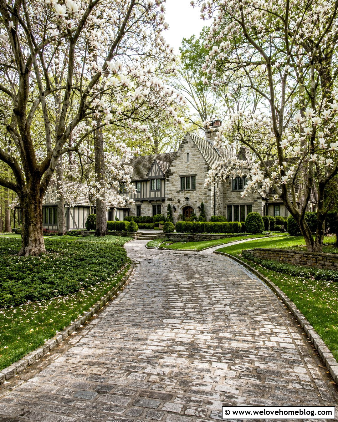 Magnolia Tree Cobblestone Driveway - 20 Magnolia Tree Lined Driveway Ideas