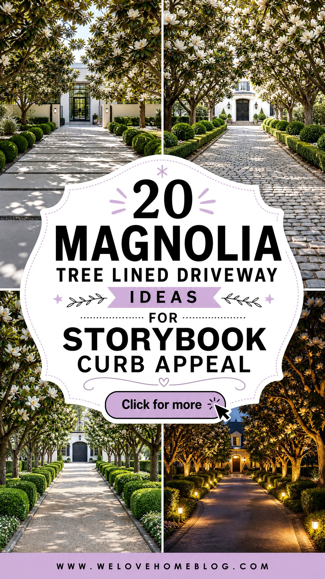 20 Magnolia Tree Lined Driveway Ideas for Storybook Curb Appeal - 20 Magnolia Tree Lined Driveway Ideas for Storybook Curb Appeal