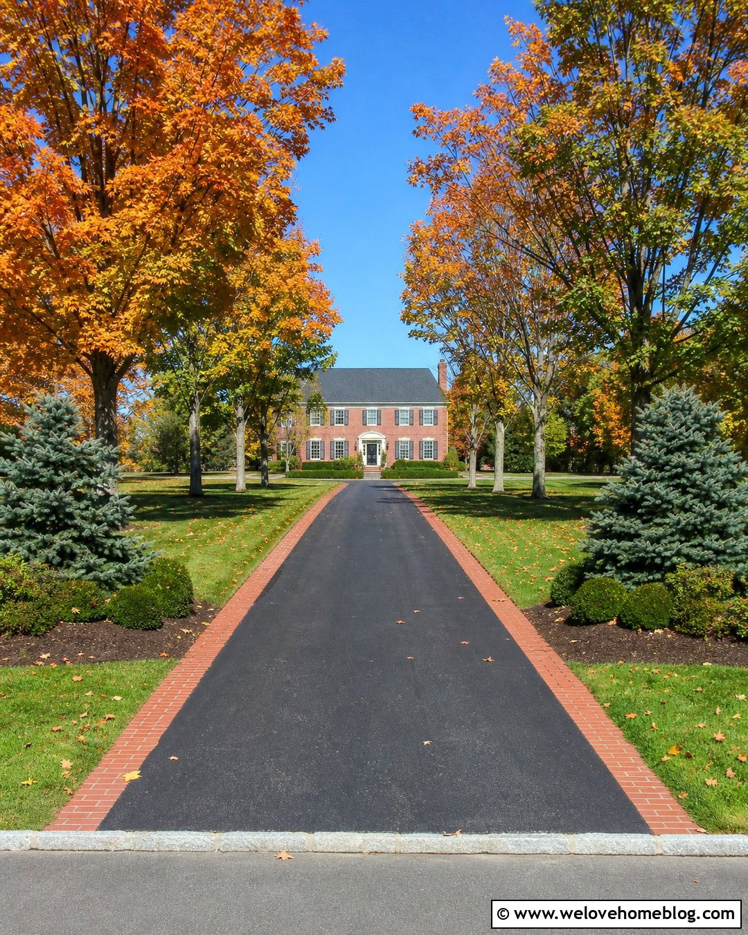 Maple Tree Asphalt Driveway - 20 treed driveways ideas