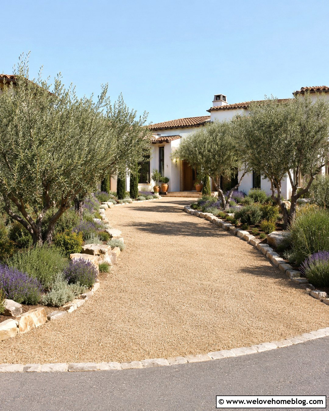 20 Planted Driveway Ideas for a Lush and Welcoming Entrance