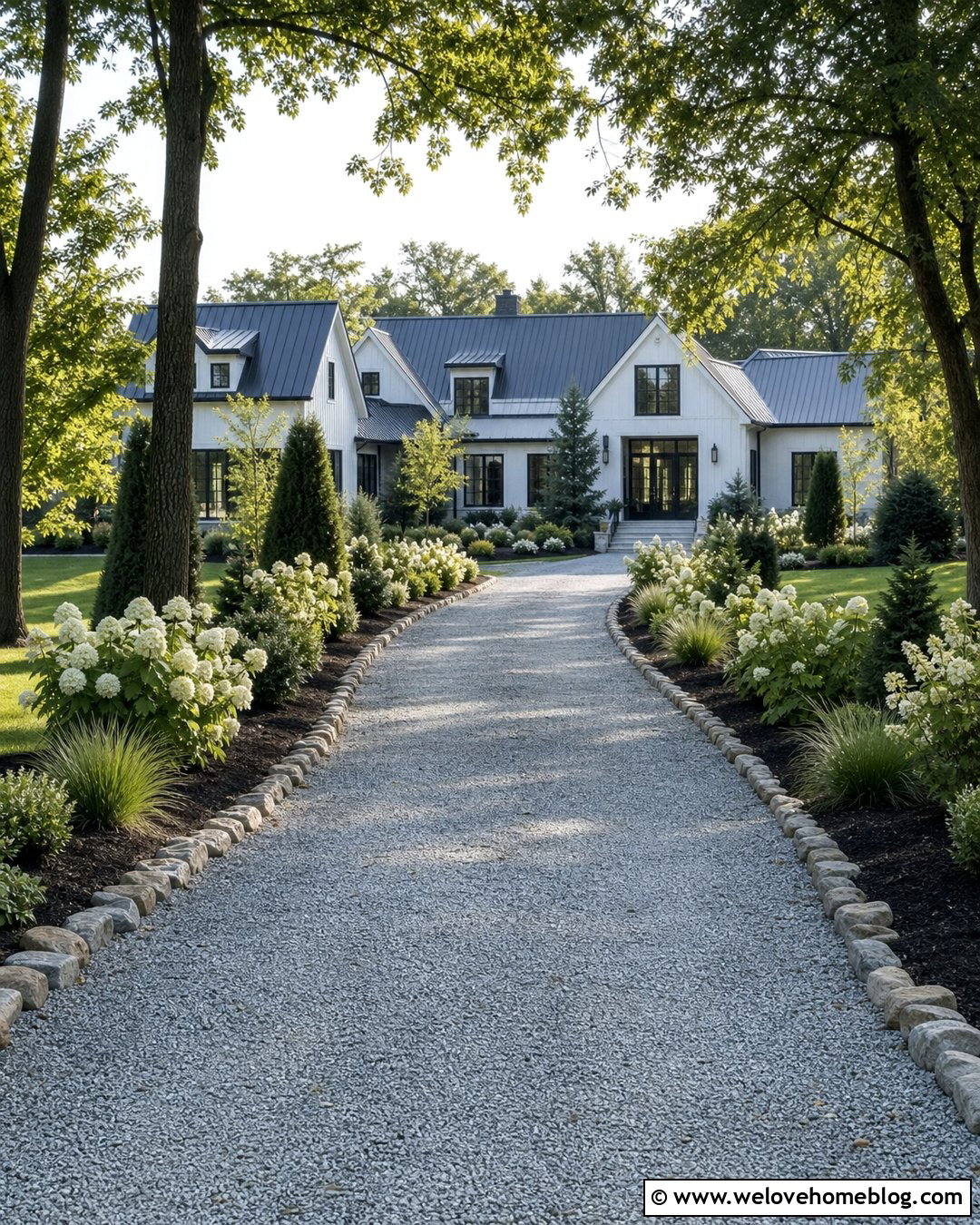 Mixed Hydrangea Long Driveway - 20 Hydrangeas Driveway Ideas