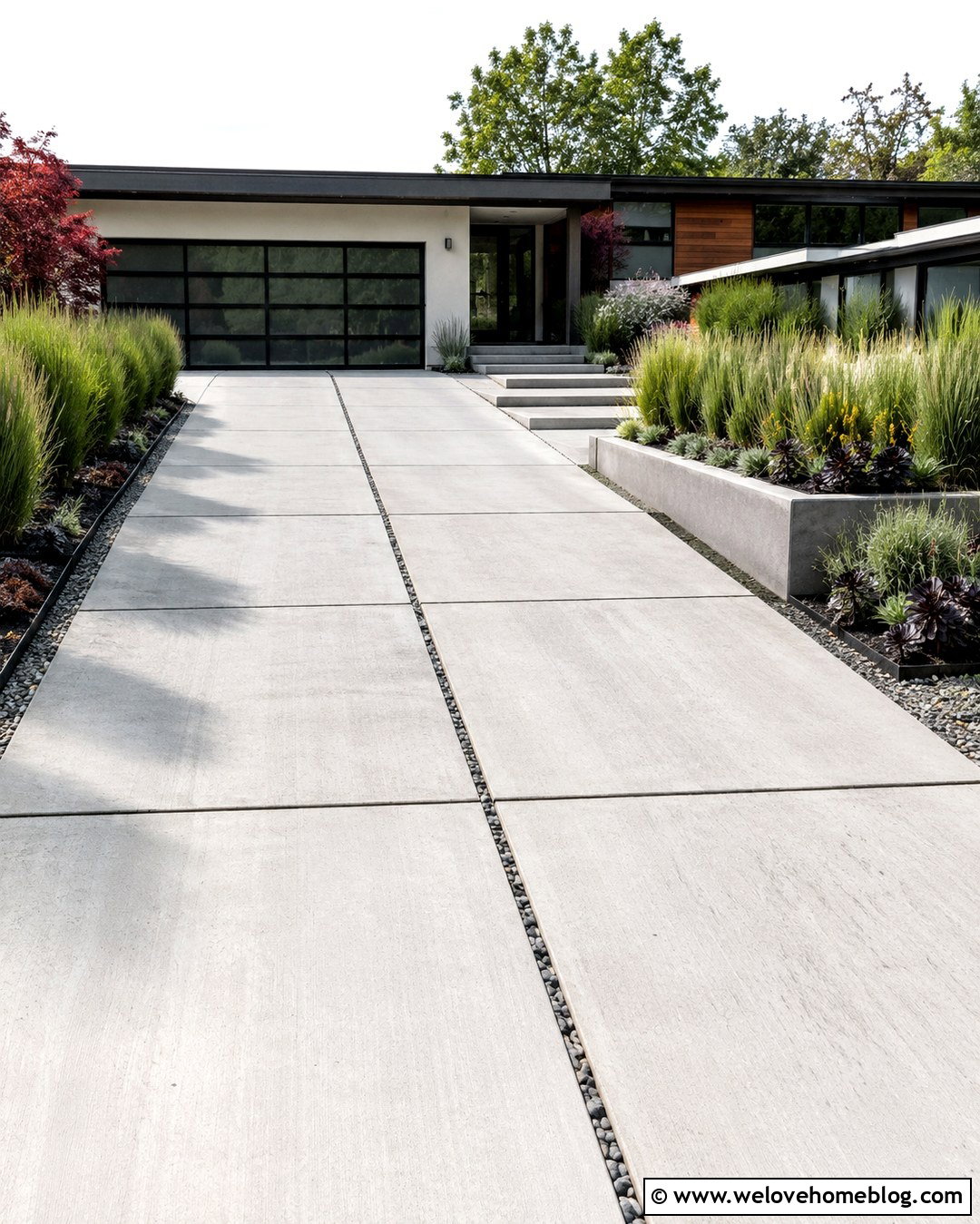 Modern Concrete Driveway With Ornamental Grasses - 20 Sunlit Driveway Landscaping Ideas