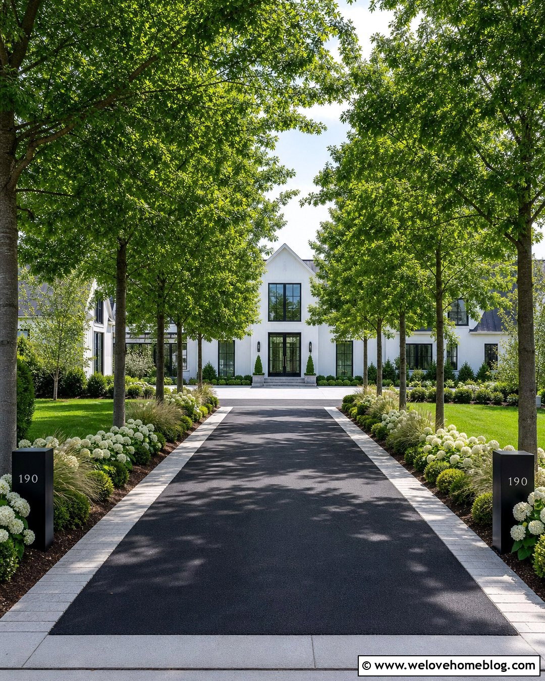 Modern Farmhouse Tree Canopy Asphalt Driveway - 20 Tree Canopy Driveway Ideas