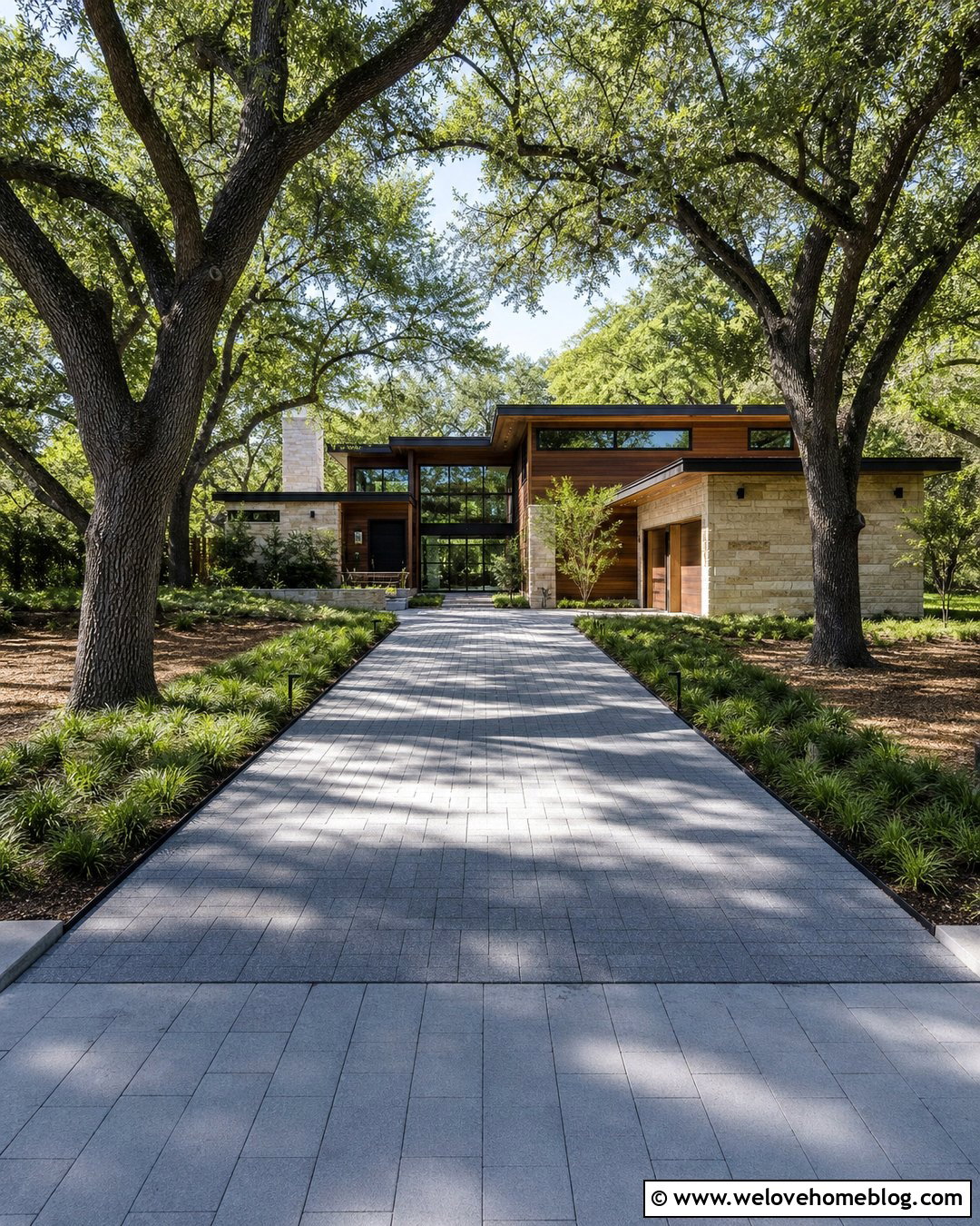 20 Oak Tree Lined Driveway Ideas for a Grand Country Look