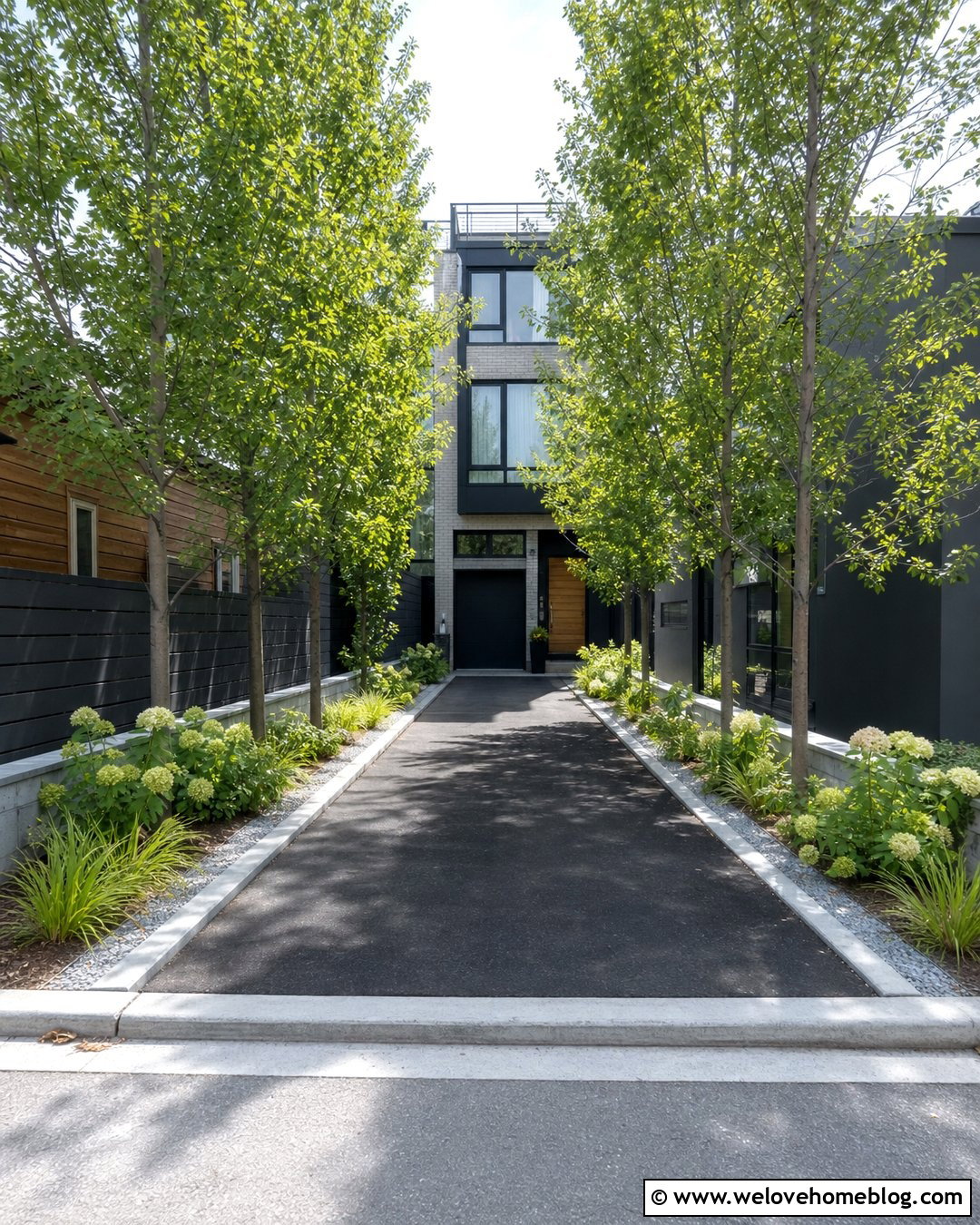 Narrow Driveway With Upright Trees On Both Sides - 25 Driveway With Trees On Both Sides Ideas