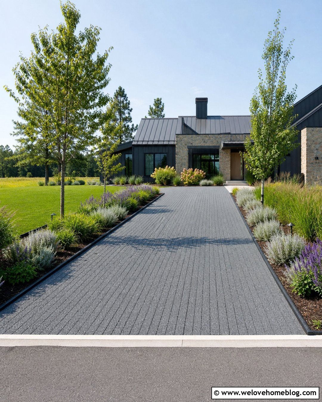 Native Plant Modern Driveway - 45 modern driveway ideas