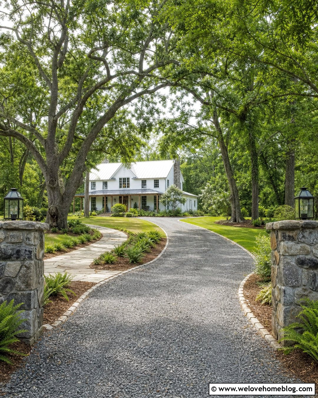 Oak Tree Canopy Gravel Driveway - 20 Tree Canopy Driveway Ideas