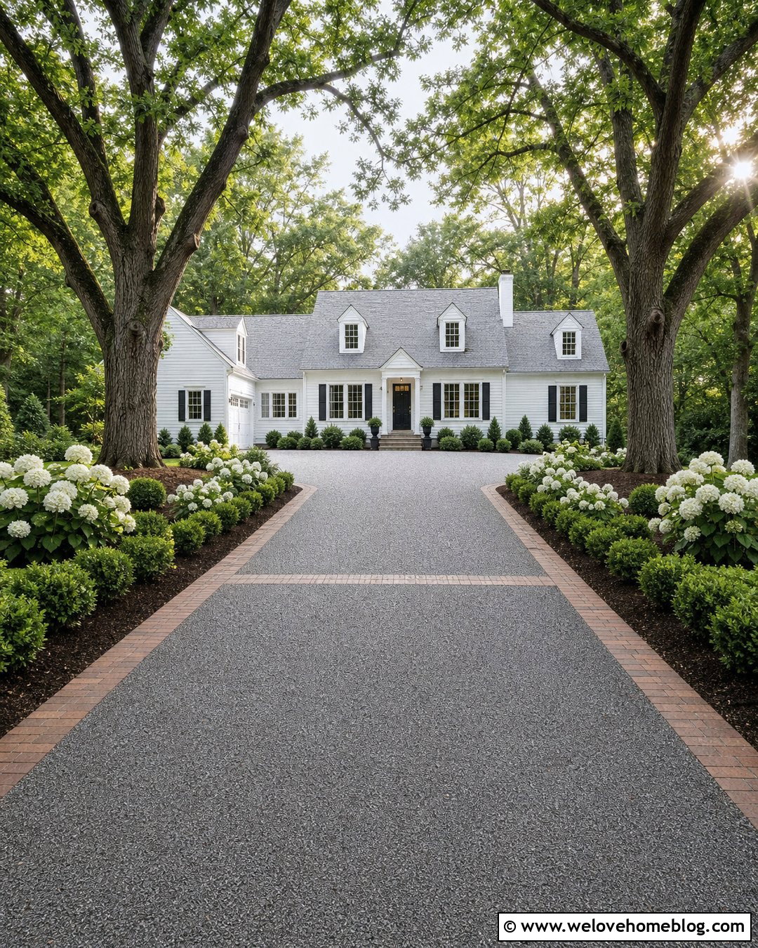 Oak Tree Lined Driveway With Hydrangeas - 20 Oak Tree Lined Driveway Ideas