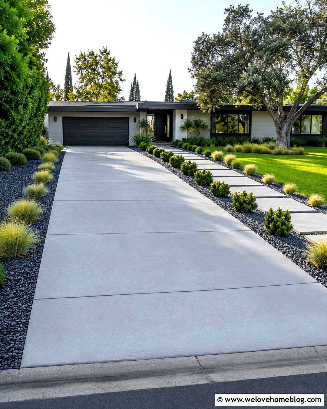 Ornamental Grass Lined Concrete Driveway - 20 Plant Lined Driveway Ideas