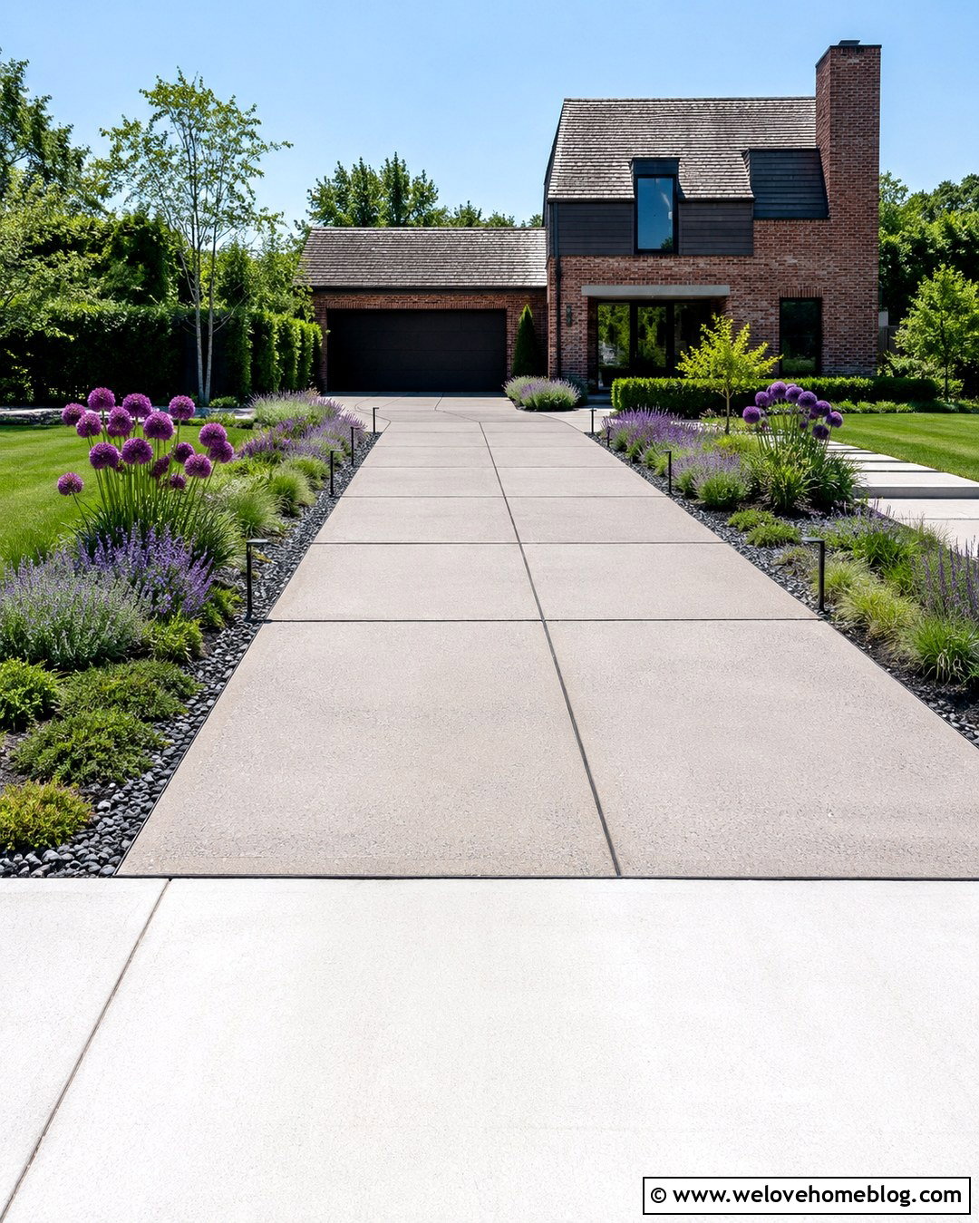 Ornamental Onion Along a Concrete Driveway - 20 plants next to driveway ideas