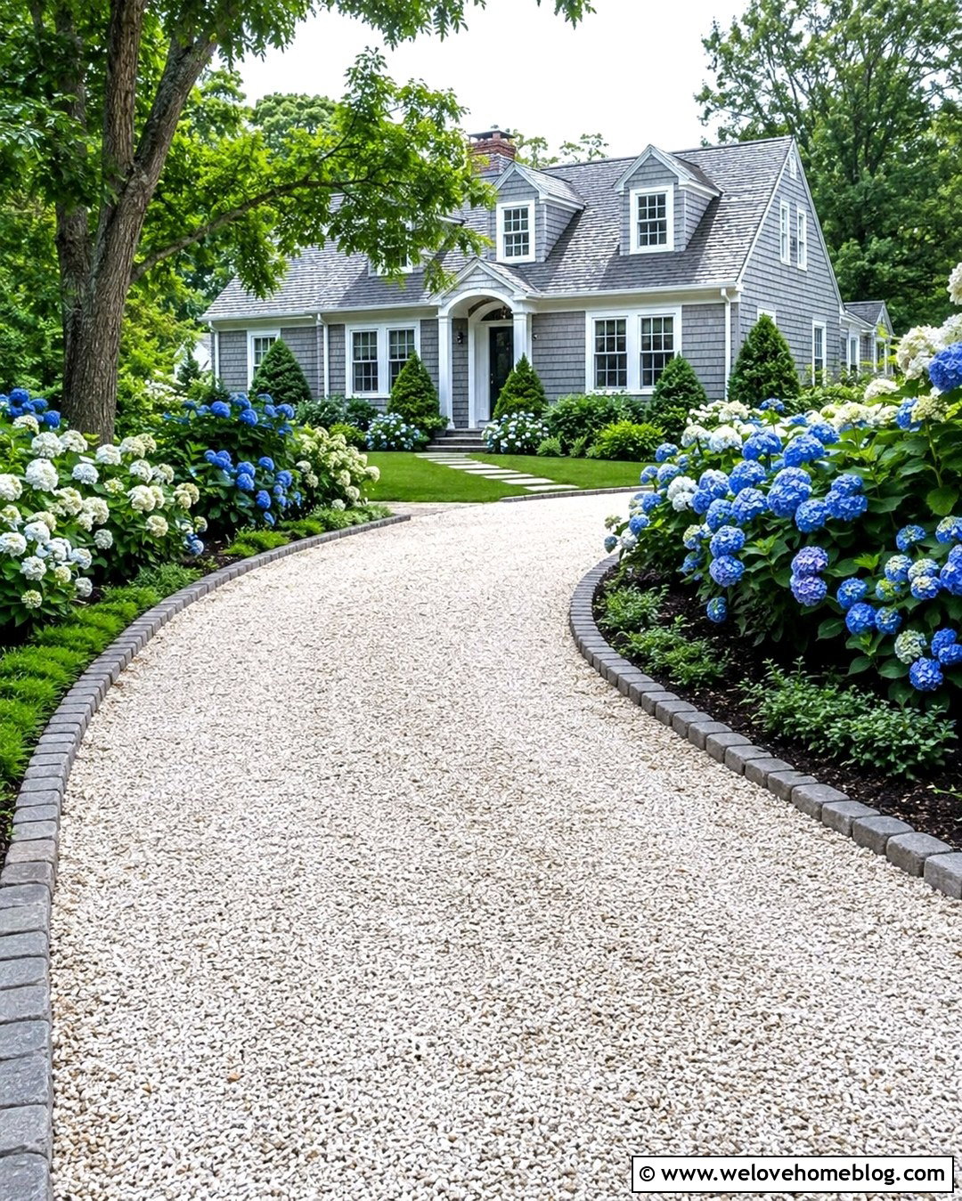 Oyster Shell Driveway With Hydrangeas - 20 Oyster Shell Driveway Ideas