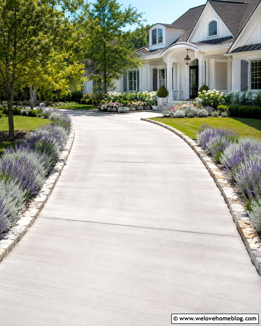 Plain Concrete Driveway With Lavender Borders - 20 Plain Concrete Driveway Ideas