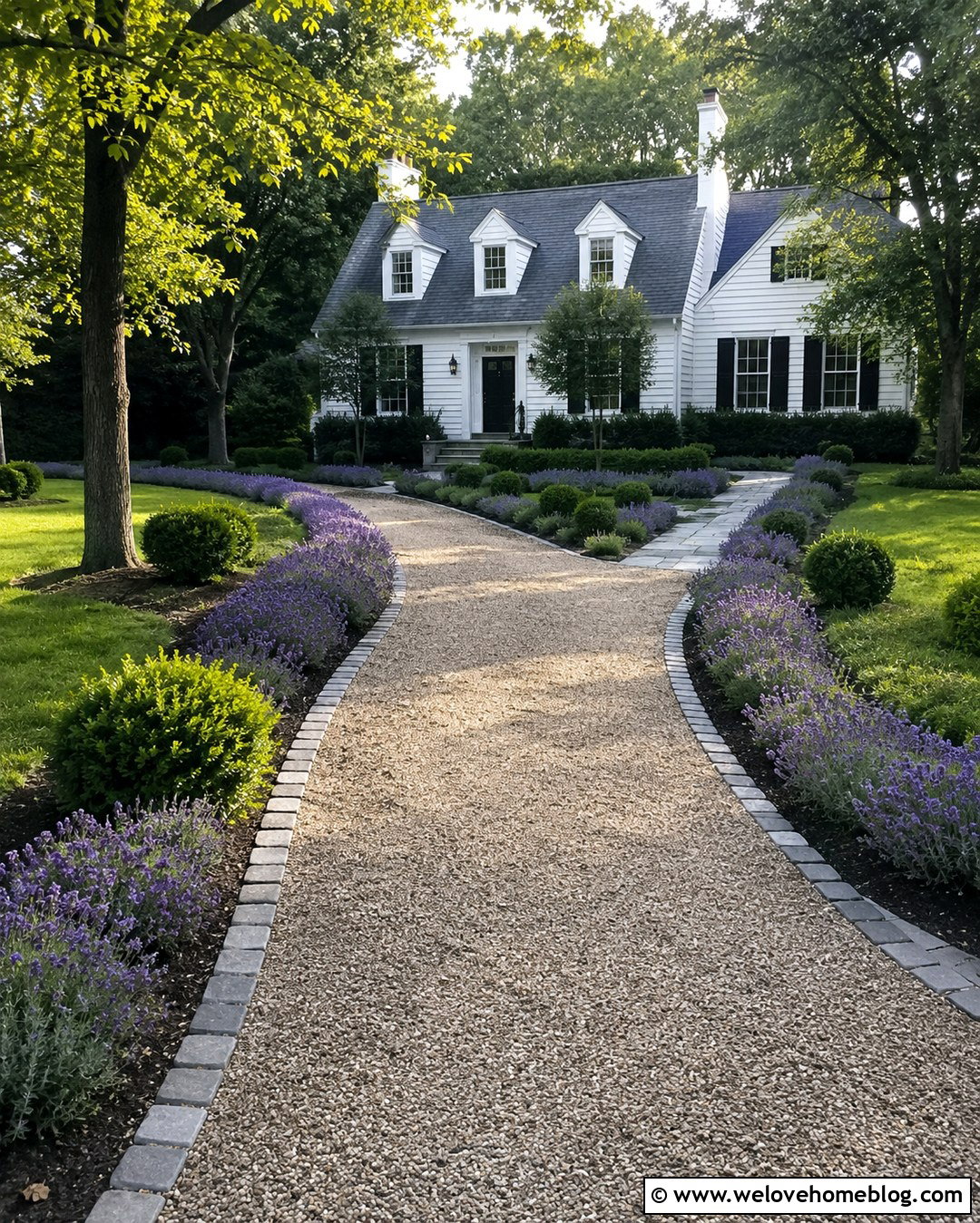 Planted Gravel Driveway With Lavender Borders - 20 Planted Driveway Ideas
