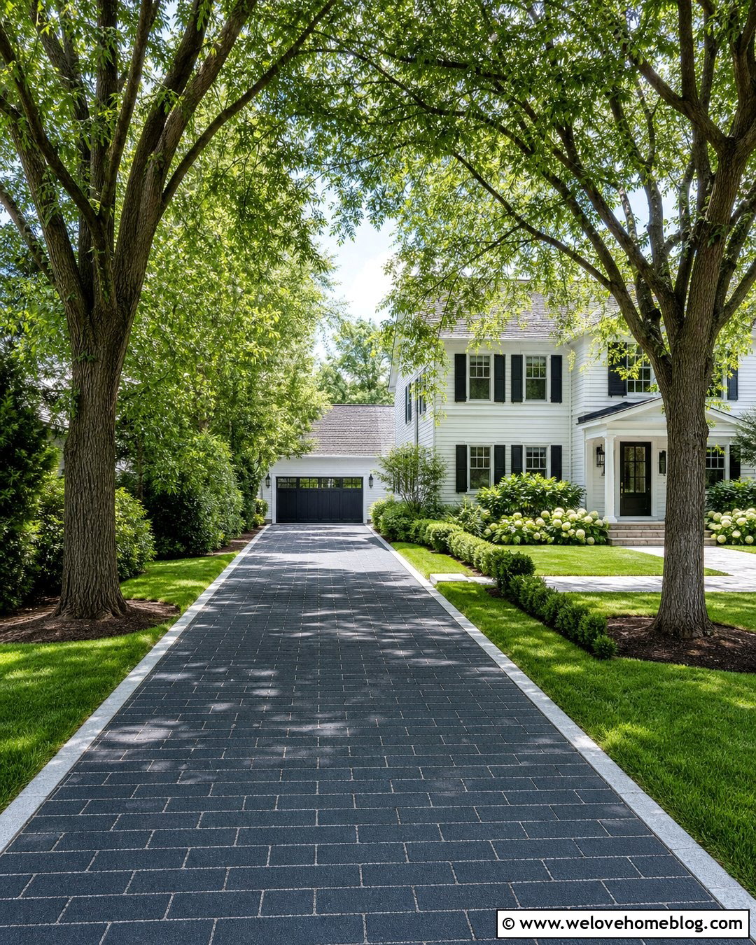 Princeton American Elm Permeable Paver Driveway - 20 Fast Growing Driveway Trees Ideas