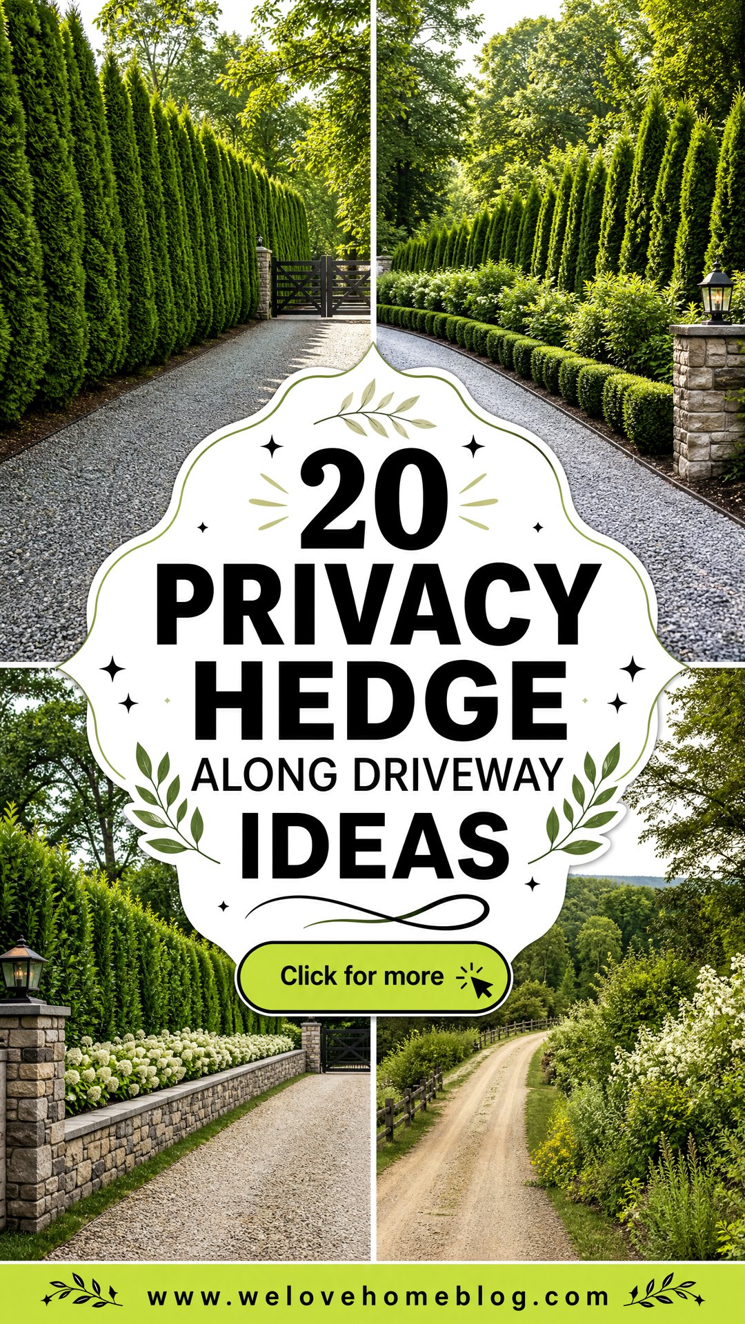 20 Privacy Hedge Along Driveway Ideas for a Serene Entry - 20 Privacy Hedge Along Driveway Ideas for a Serene Entry