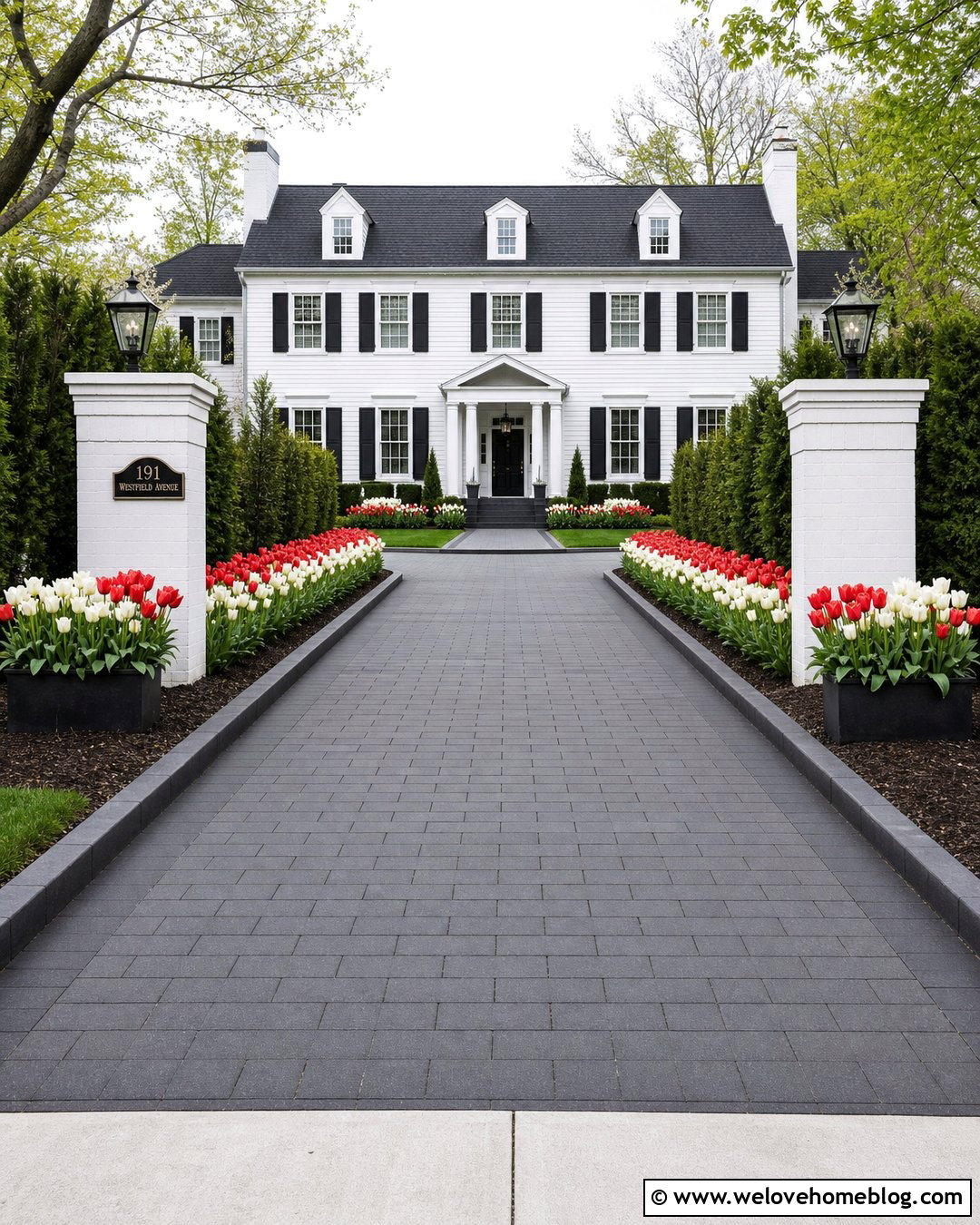 Red And White Tulip Lined Driveway - 20 tulip lined driveway ideas