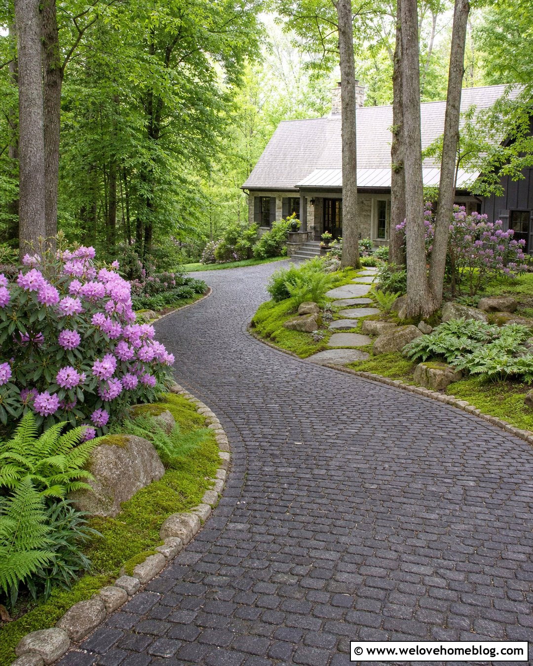 Rhododendrons Along a Shaded Driveway - 20 shrubs to line driveway ideas