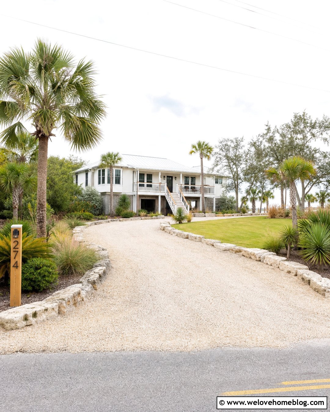 Sabal Palm Driveway Entrance - 25 Palm Tree Driveway Entrance Ideas