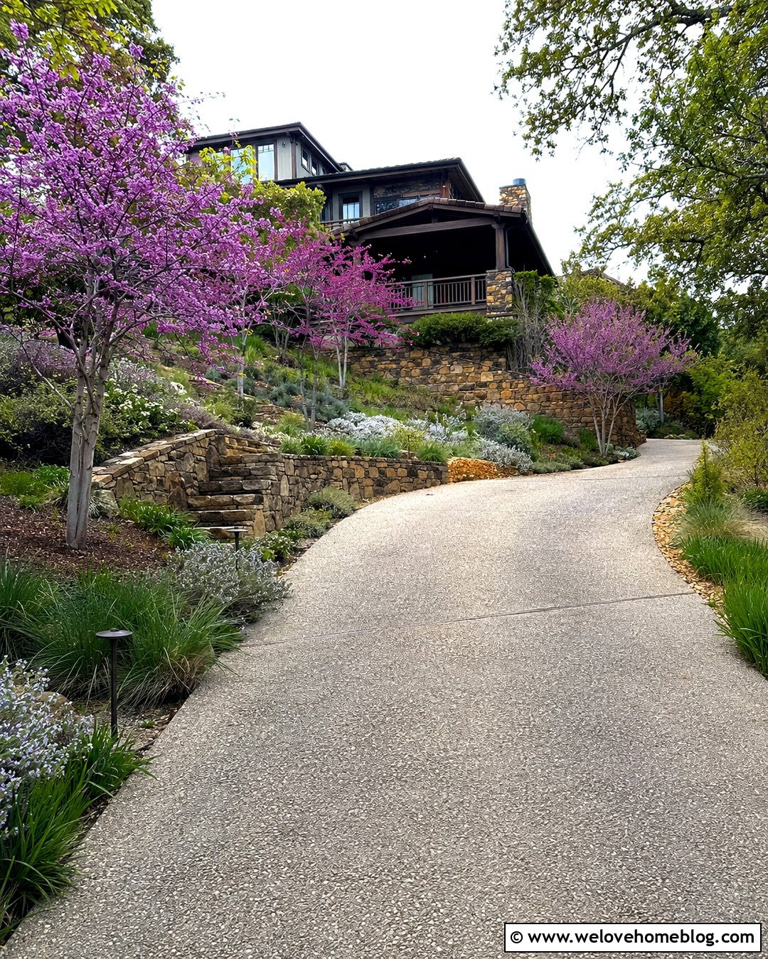 Sloped Driveway With Redbud Trees - 20 Summer Tree-Lined Driveway Ideas