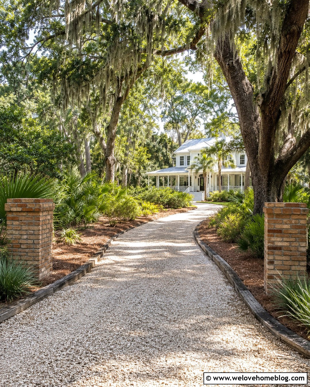 Spanish Moss Live Oak Driveway With Shell Gravel - 20 live oak tree lined driveway ideas