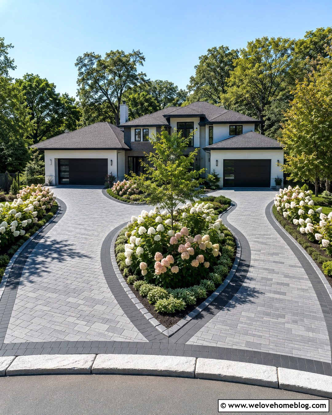 20 Driveway Lined With Hydrangeas Ideas for Dreamy Kerbs