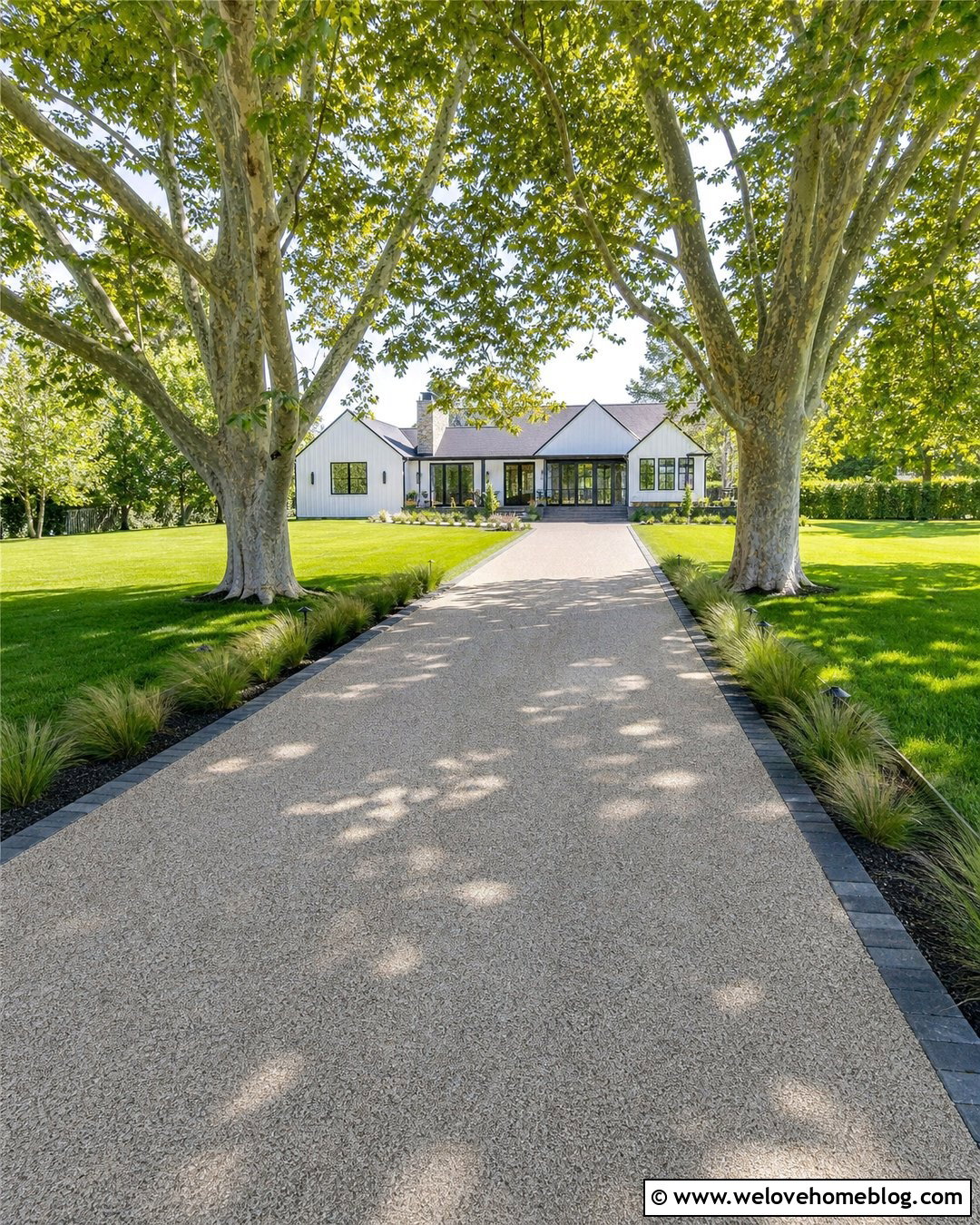 Sycamore Tree Lined Resin Driveway - 40 Tree Lined Driveway Ideas
