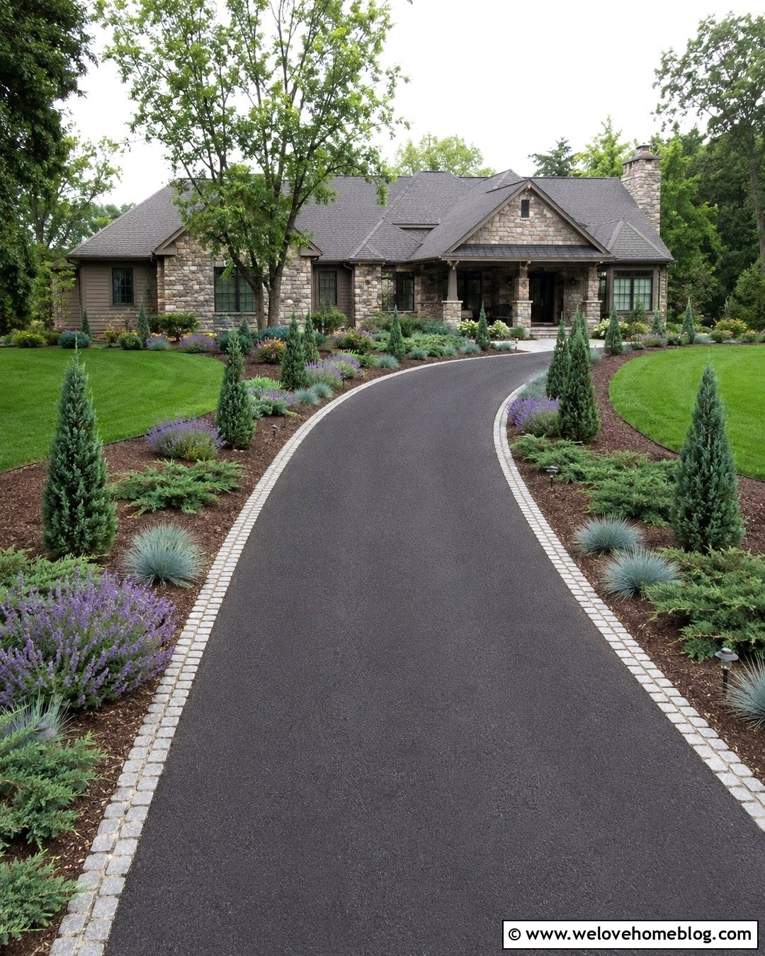 Taylor Juniper Asphalt Driveway - 25 trees to line driveway ideas