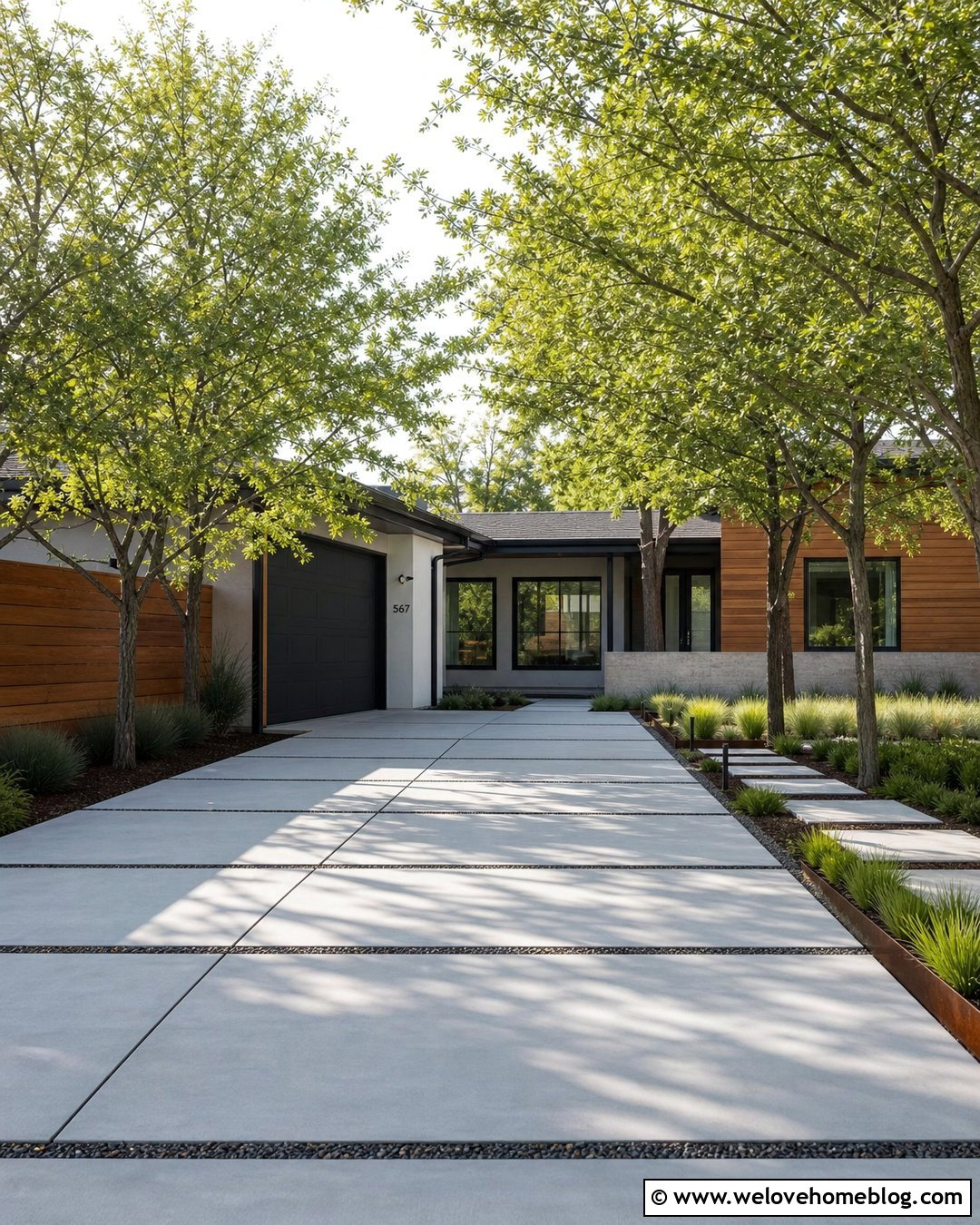 Thornless Honeylocust Modern Concrete Driveway - 20 Fast Growing Driveway Trees Ideas