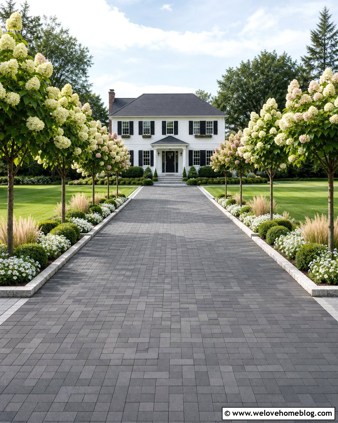 20 Hydrangeas Along Driveway Ideas for Gorgeous Curb Appeal