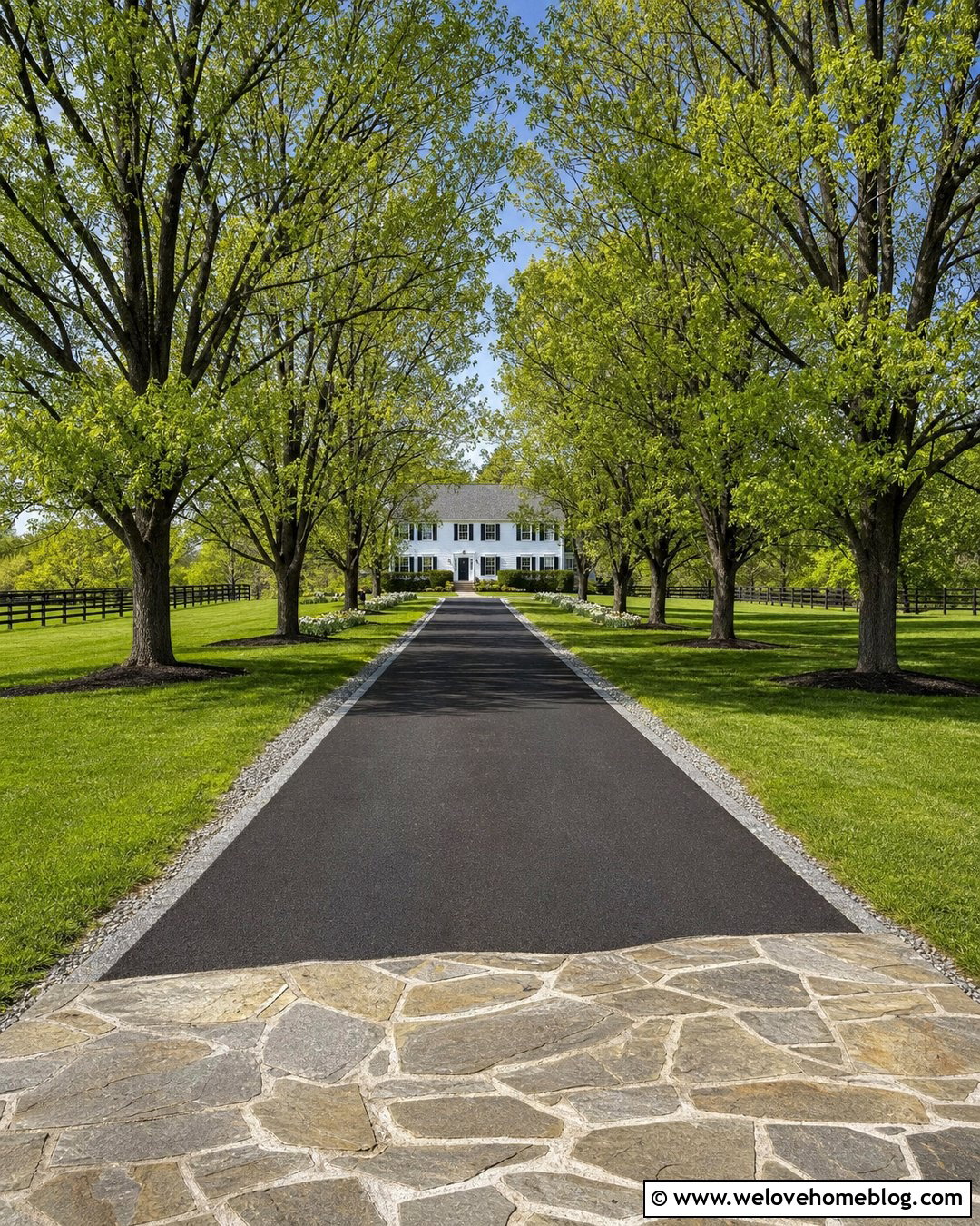 Tree Lined Crushed Asphalt Driveway - 25 Crushed Asphalt Driveway Ideas