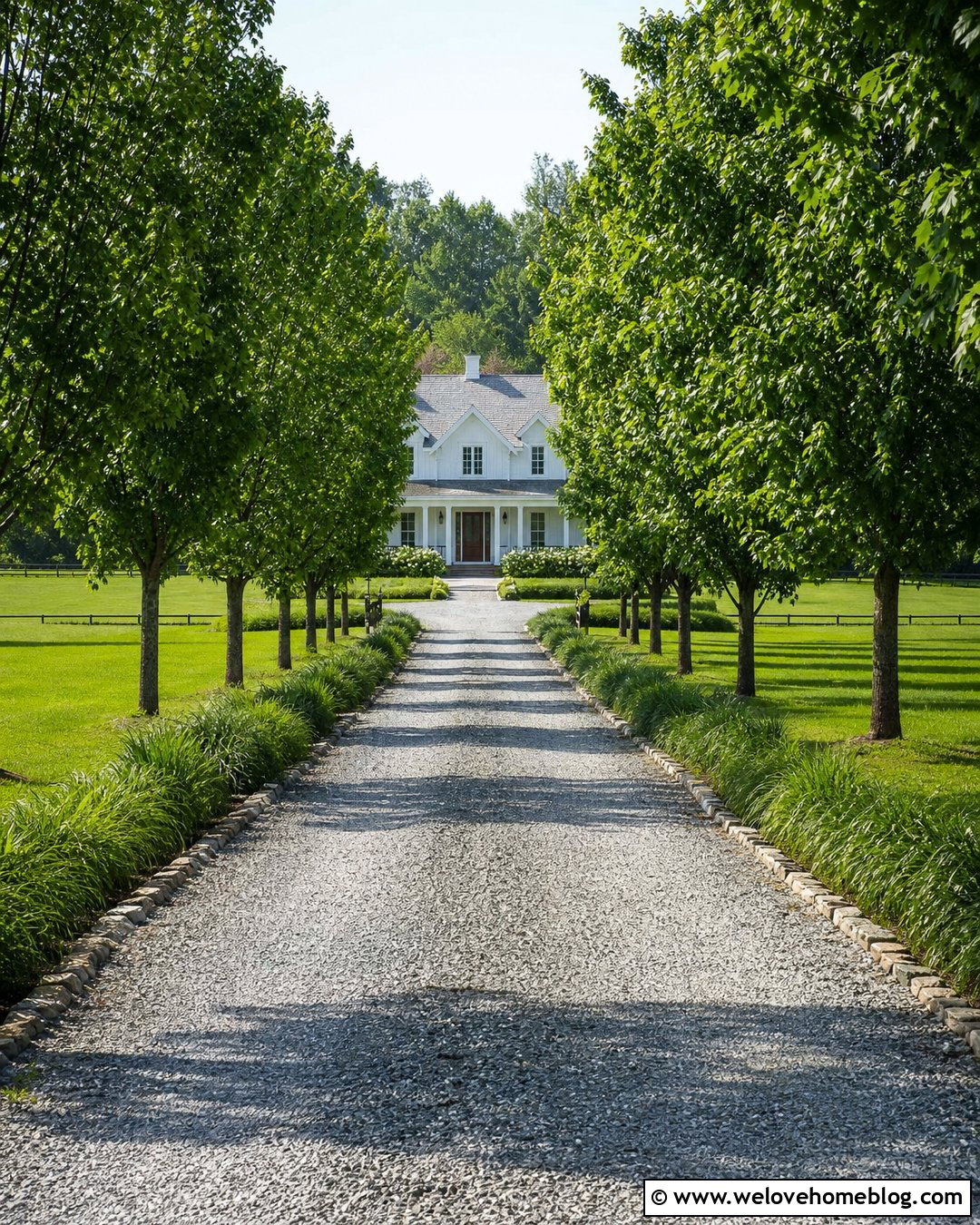 Tree Lined Driveway Planting - 35 Driveway Planting Ideas