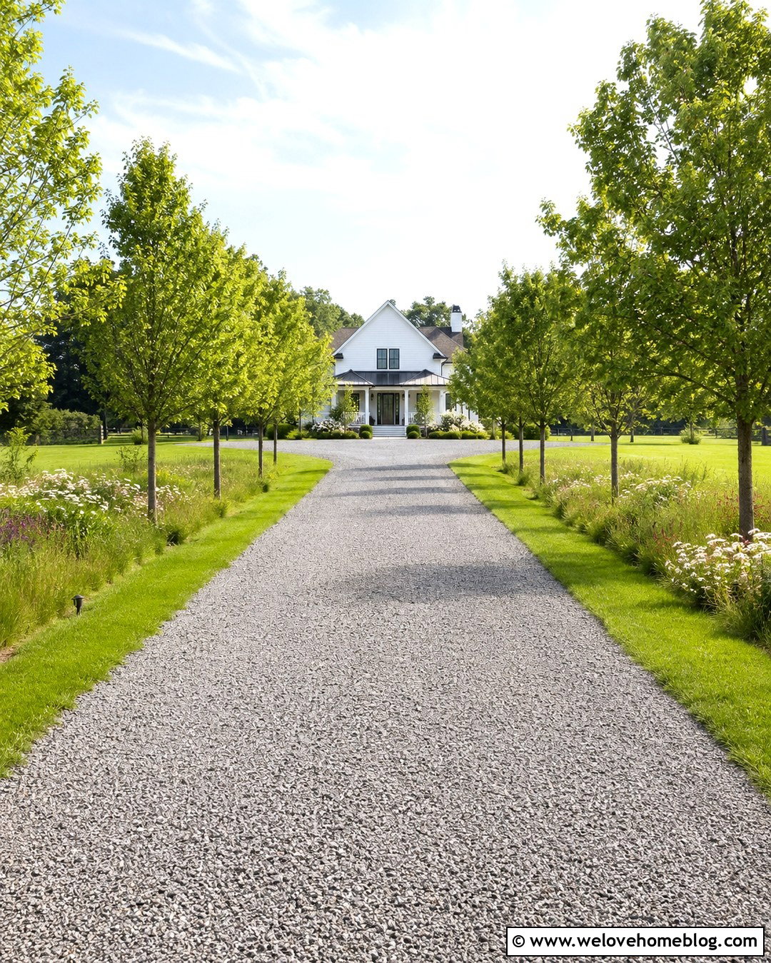 Tree Lined Road Base Driveway - 20 Road Base Driveway Ideas