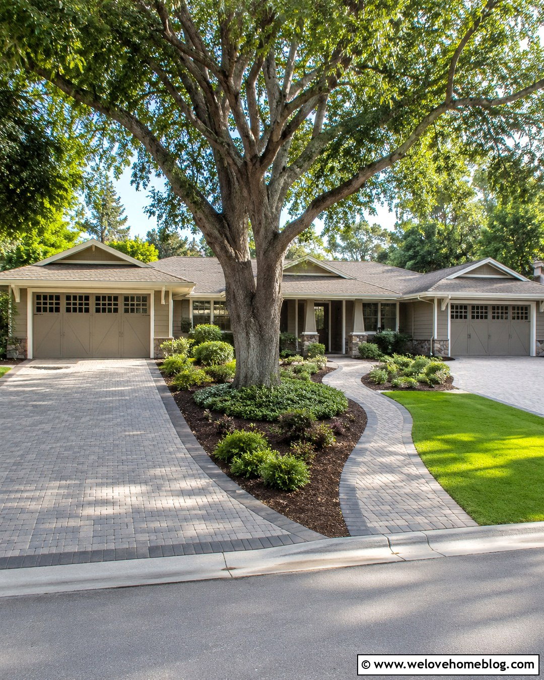 Two Driveways With A Large Shade Tree - 20 2 Driveways Front Yards ideas