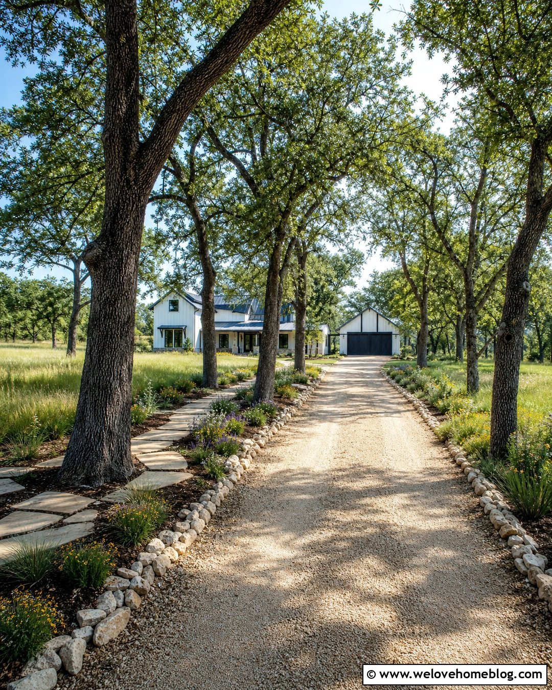 20 Best Driveway Trees Ideas for Beautiful Shade and Curb Appeal