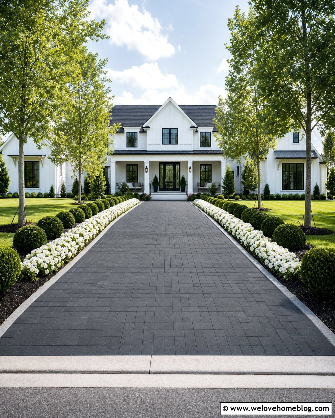 White Petunias Along a Straight Paver Driveway - 25 flowers along driveway ideas