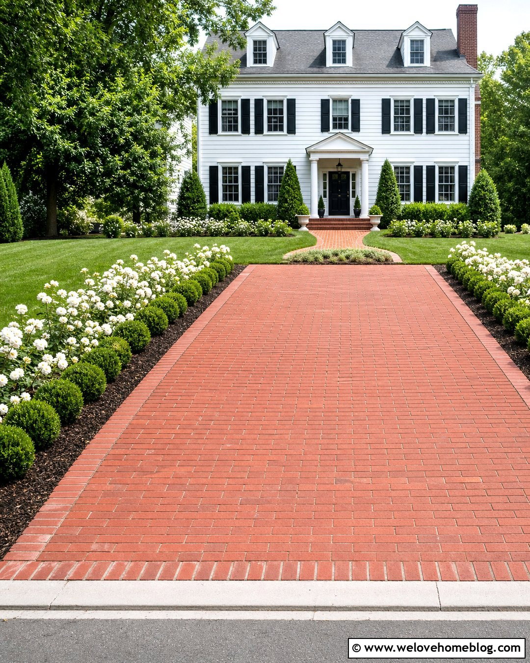 White Roses Along A Brick Driveway - 20 Roses Along Driveway Ideas