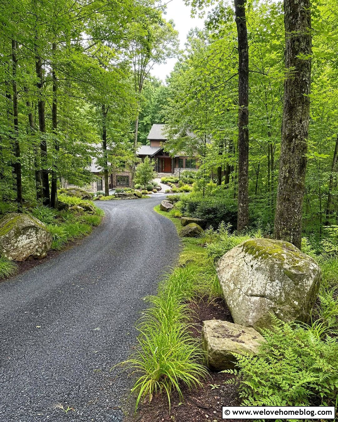 20 Driveway Through Woods Ideas for a Natural, Welcoming Entrance