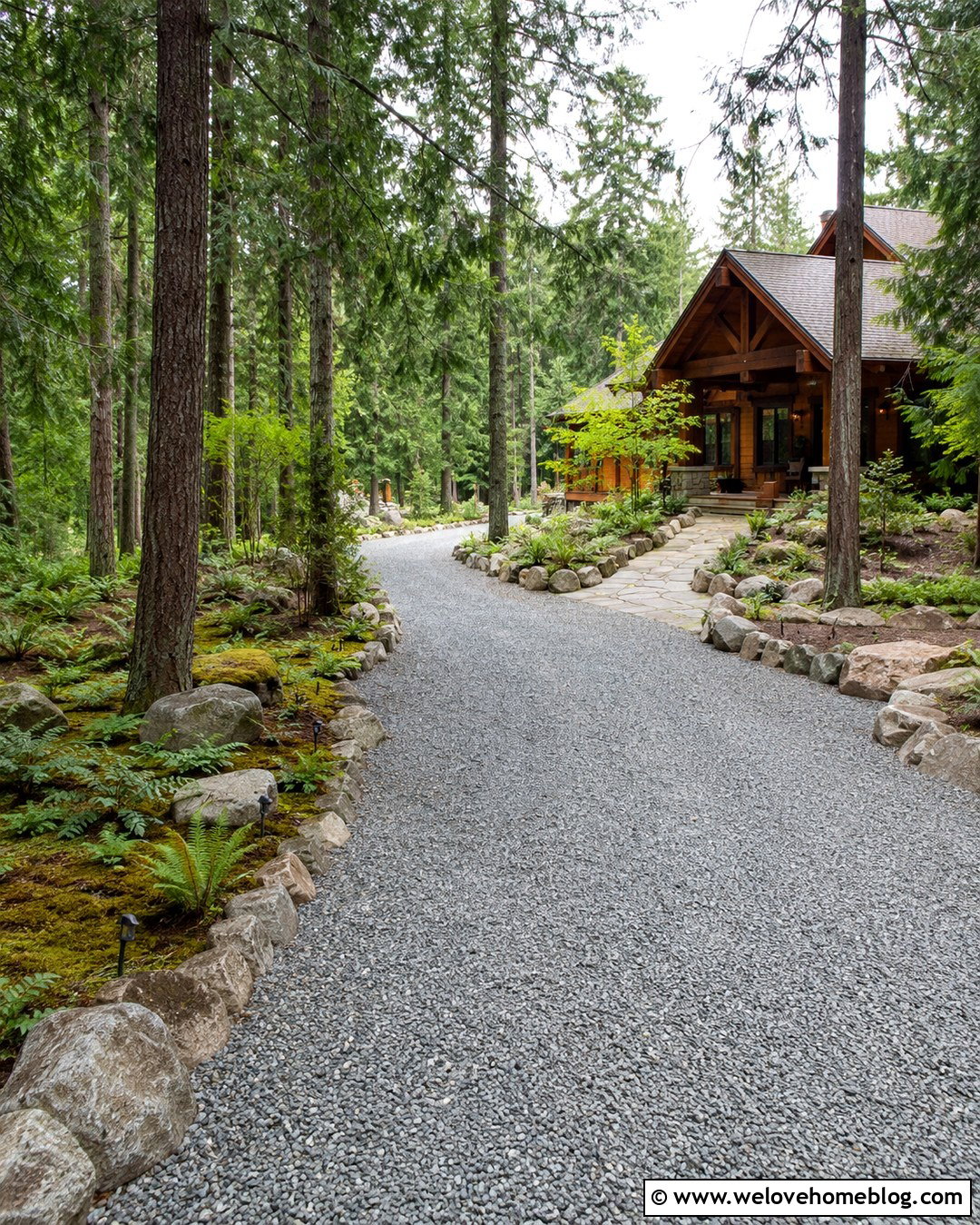 Woodland Driveway With Pine Trees - 20 Summer Tree-Lined Driveway Ideas