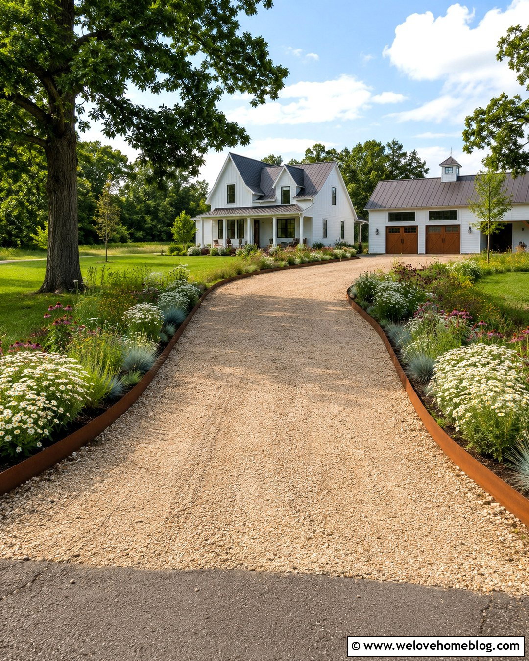 Yarrow Along a Farmhouse Gravel Driveway - 20 plants next to driveway ideas